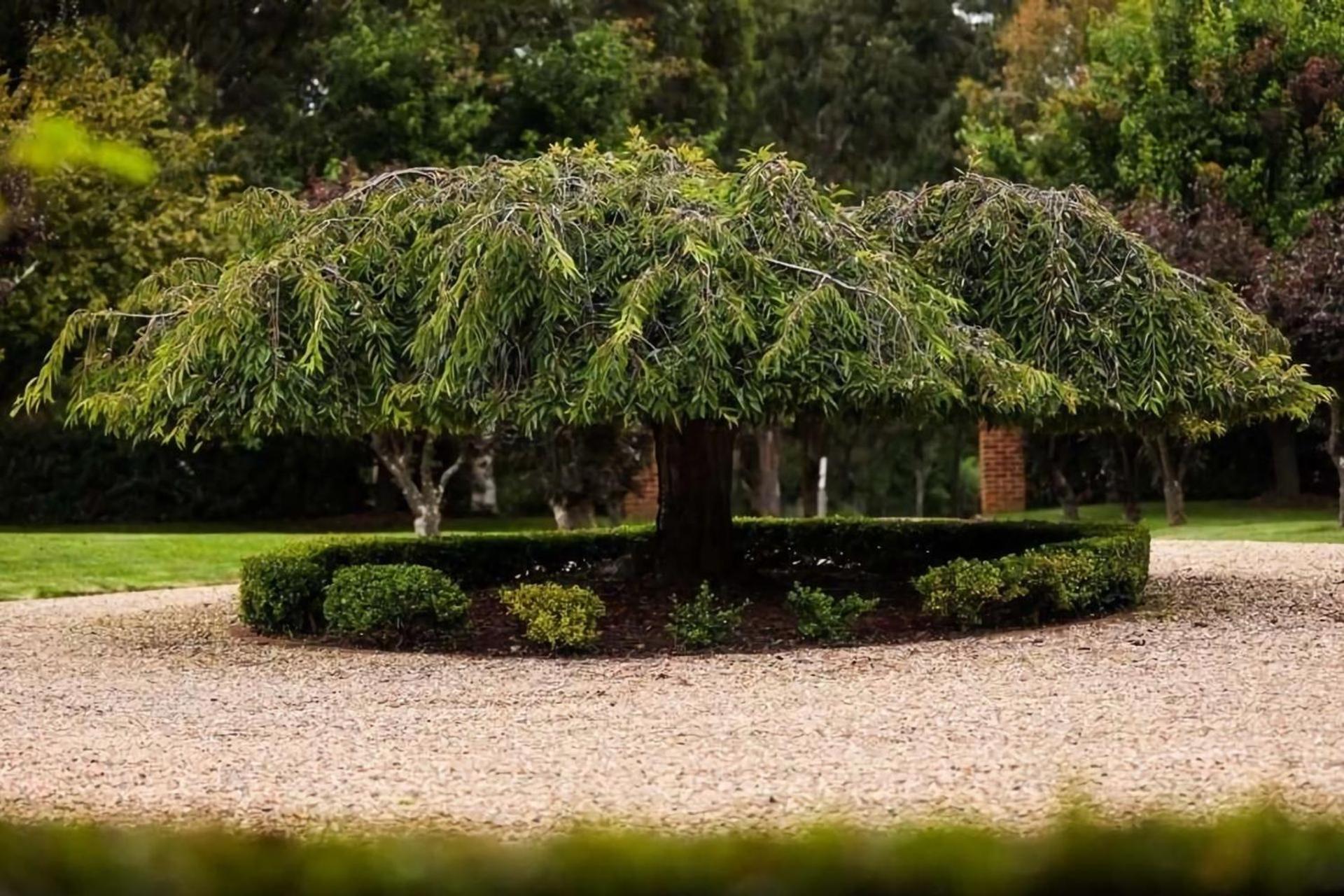 Avonlea, Bowral, Southern Highlands Exterior photo
